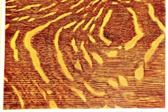 1_1904-49th-Semi-Annual-Cat-3-Oak-Golden-Finish-1