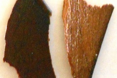 1900-Veneer-front-back-from-Leather-chair