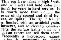 1904-Printers-Ink-Nov-16-14-leather-col2