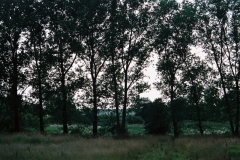 Wągrowiec-Countryside