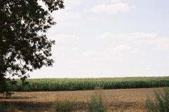 Wągrowiec Countryside