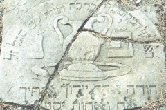 Wongrowitz Cemetery-3