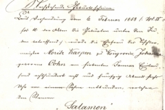 Solomon Karpen- Emigration Document-1872