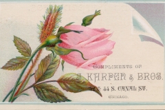 Trade Card-Rose